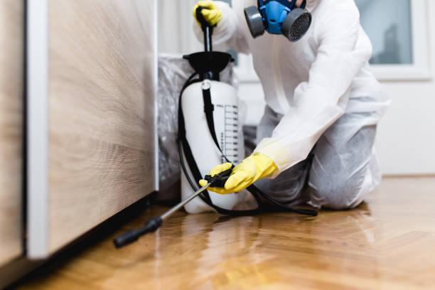 Best Best Pest Control Companies  in Ironton, OH