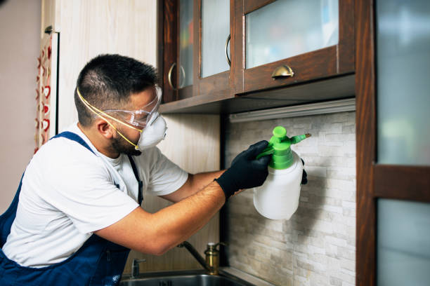 Best Rat Extermination Near Me  in Ironton, OH