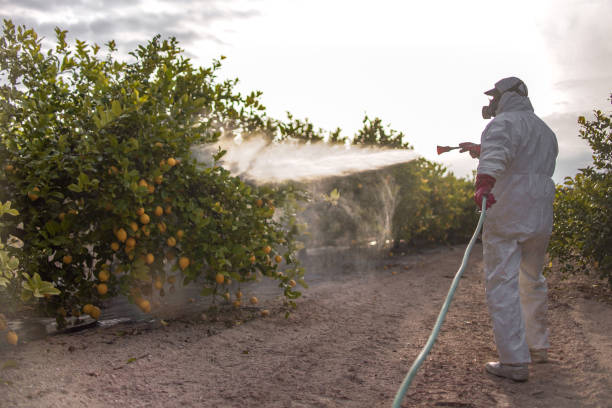 Best Pest Control Near Me  in Ironton, OH