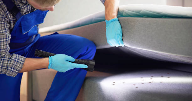 Best Pest Control for Homes  in Ironton, OH