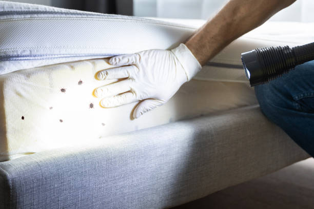 Best Pest Control Near Me in Ironton, OH