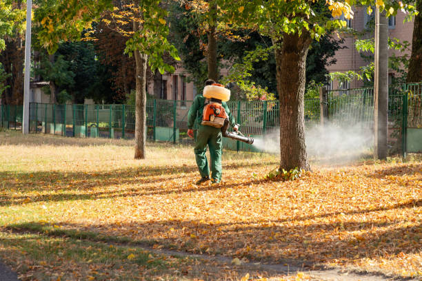 Best Local Pest Control Services  in Ironton, OH