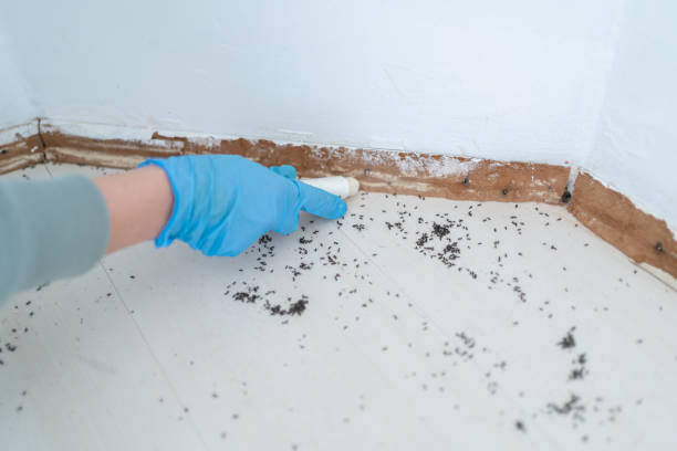 Pest Control for Restaurants in Ironton, OH