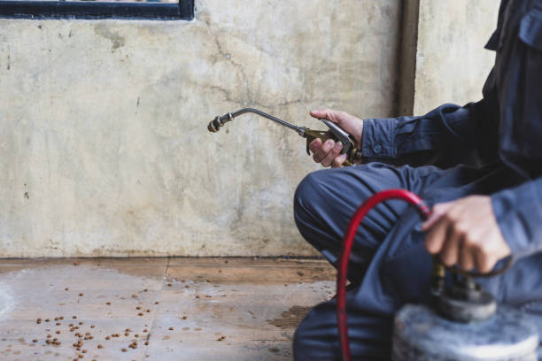 Best Residential Pest Control  in Ironton, OH